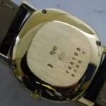 watches-266985-21216093-v2lnpp1t0g0salvch106yvn1-ExtraLarge.webp