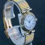 watches-270851-21598087-sdh4sxj8cb1hnktalhlued68-ExtraLarge.webp