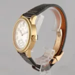 watches-273702-21876792-20zn7stw1zpk7fvvioxrpqwc-ExtraLarge.webp