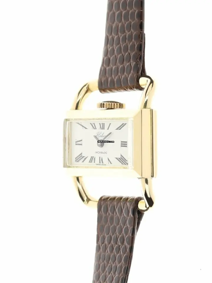 watches-281234-18075015-gujo9nv5fvku3py8h72x2gfv-ExtraLarge.webp