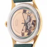 watches-281280-18595958-f0bndlje70uyem9jc39pkcss-ExtraLarge.webp