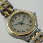 watches-283244-22905537-qlk5qw65oulx0pay4dbnld0n-ExtraLarge.webp