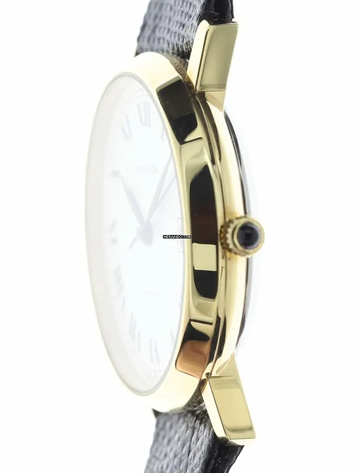 watches-287623-23459677-s6jgf52wutnob9d541gdgev7-ExtraLarge.webp