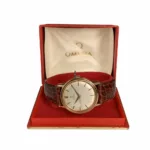 watches-287884-23491680-u9e8uhl0gma6lzdhg80gipdi-ExtraLarge.webp