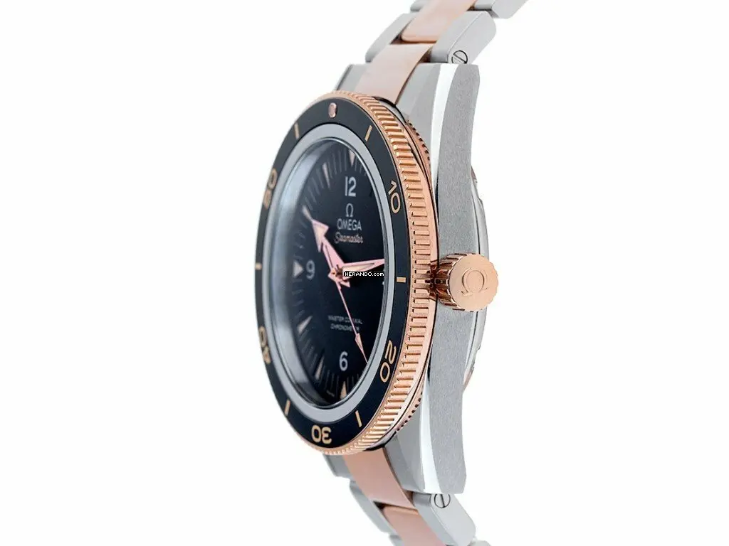 watches-288172-23564234-1af4ni502kgx5t9uplg3mz69-ExtraLarge.webp