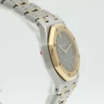 watches-298245-24822627-p89icuup8g8i2bemvr7kg5cx-ExtraLarge.webp