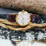 watches-305099-25501108-qpvtmaalel9tl0mc5d7s3xoi-ExtraLarge.webp