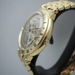 watches-308421-26062994-qdxuo381uf01teq5qgyvu65k-ExtraLarge.jpg