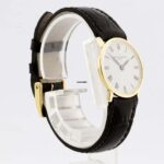 watches-310340-26329723-efp905s73eezudgmyz1hveuc-ExtraLarge.jpg