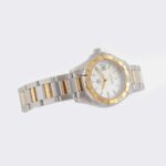 watches-314433-26882394-t2lu9d2ypb4v816hgu94y69o-ExtraLarge.jpg