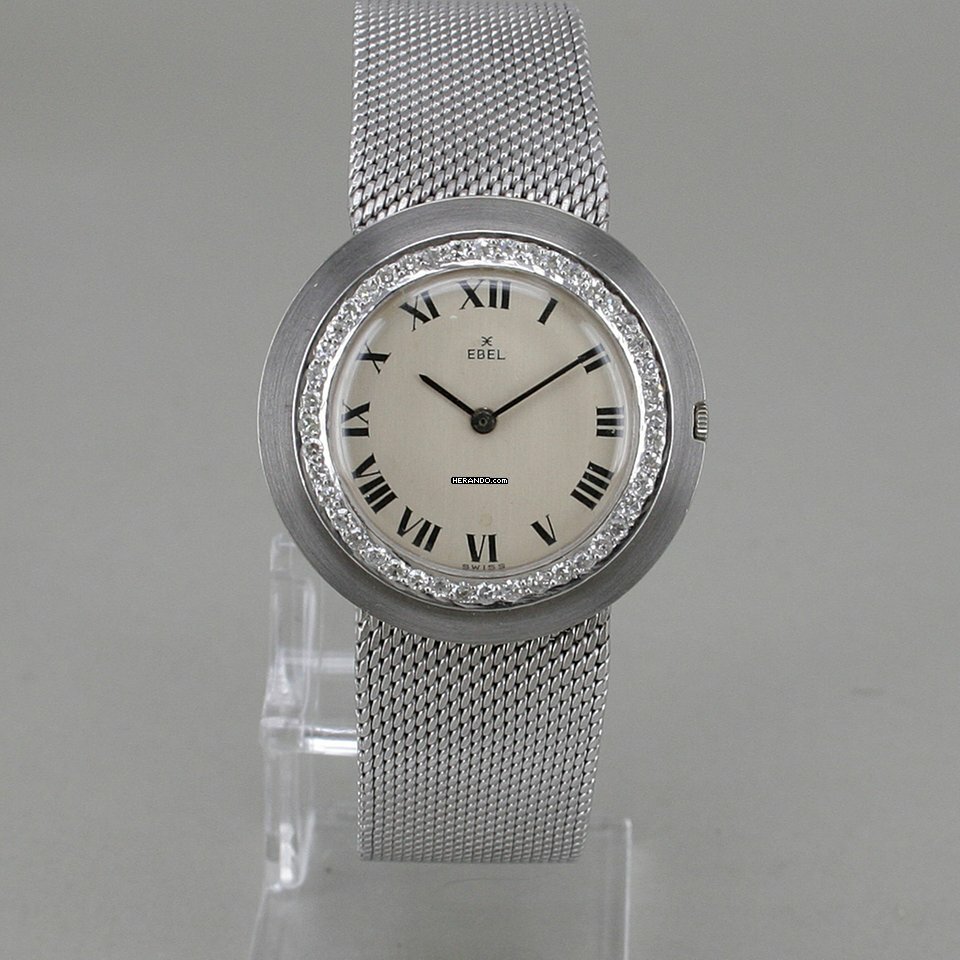 watches-314657-26911502-9t1ttza2aodoileh6zt22e0q-ExtraLarge.jpg