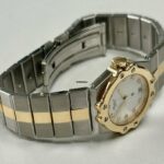 watches-315767-27070605-caxnkuohm99n1eqo5o2ehczr-ExtraLarge.jpg