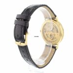 watches-315864-27097829-ob5vh08j5gjgy00tb4vlttbp-ExtraLarge.jpg