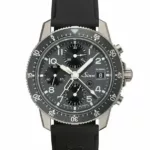 watches-316677-sinn-103-ti-diapal.webp