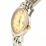 watches-317734-27346067-70nn8xa1iq6yruz7h9ojyijj-ExtraLarge.jpg