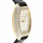 watches-319021-27288910-h62uo7f7a4shzg4pqlhyu2w4-ExtraLarge.jpg