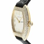 watches-319021-27288910-q3yje9o2pzvs3biq69zfmgtw-ExtraLarge.jpg