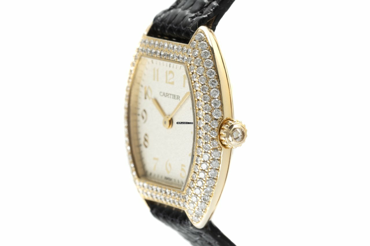 watches-319021-27288910-q3yje9o2pzvs3biq69zfmgtw-ExtraLarge.jpg