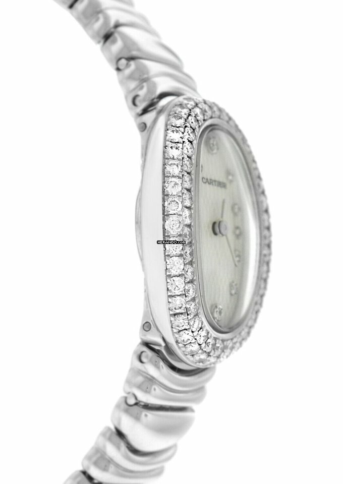 watches-320535-27468392-p76kf2p4l4k82ct0yvflvmxn-ExtraLarge.jpg