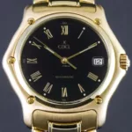 watches-322826-27703933-uri0sasw9x1triqz5je7r6b9-ExtraLarge.webp