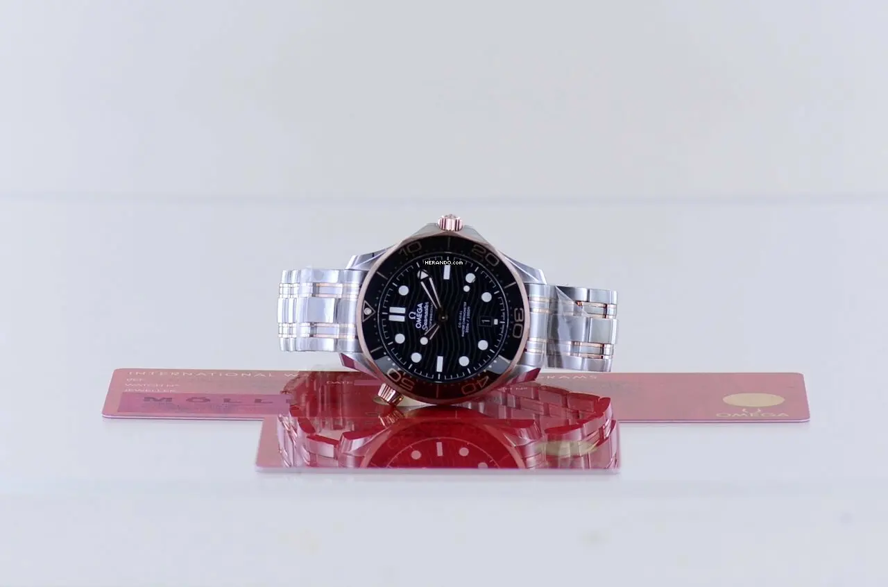 watches-329046-28466719-0cjcj30f02z6dgsl9l2jzl37-ExtraLarge.webp