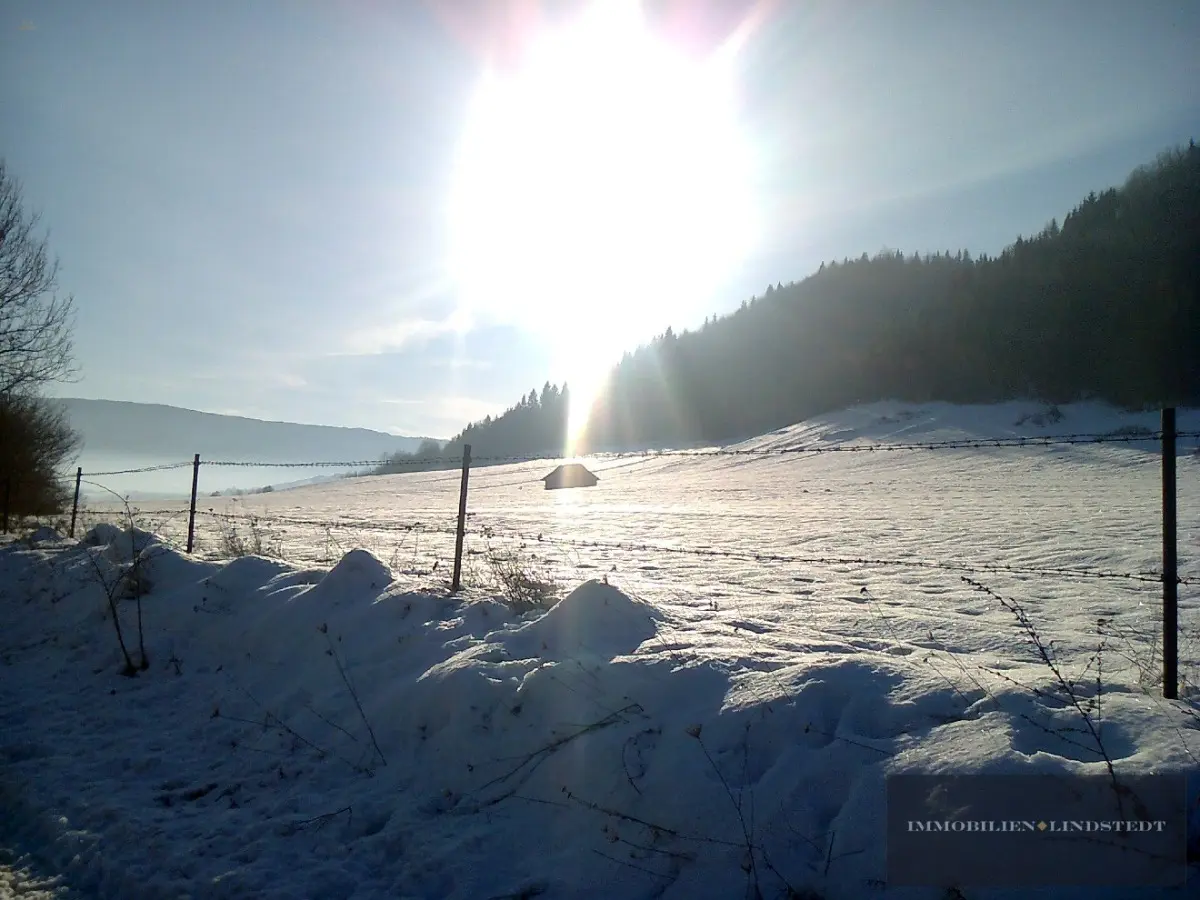 Genießen Sie die Sonnenstrahlen!