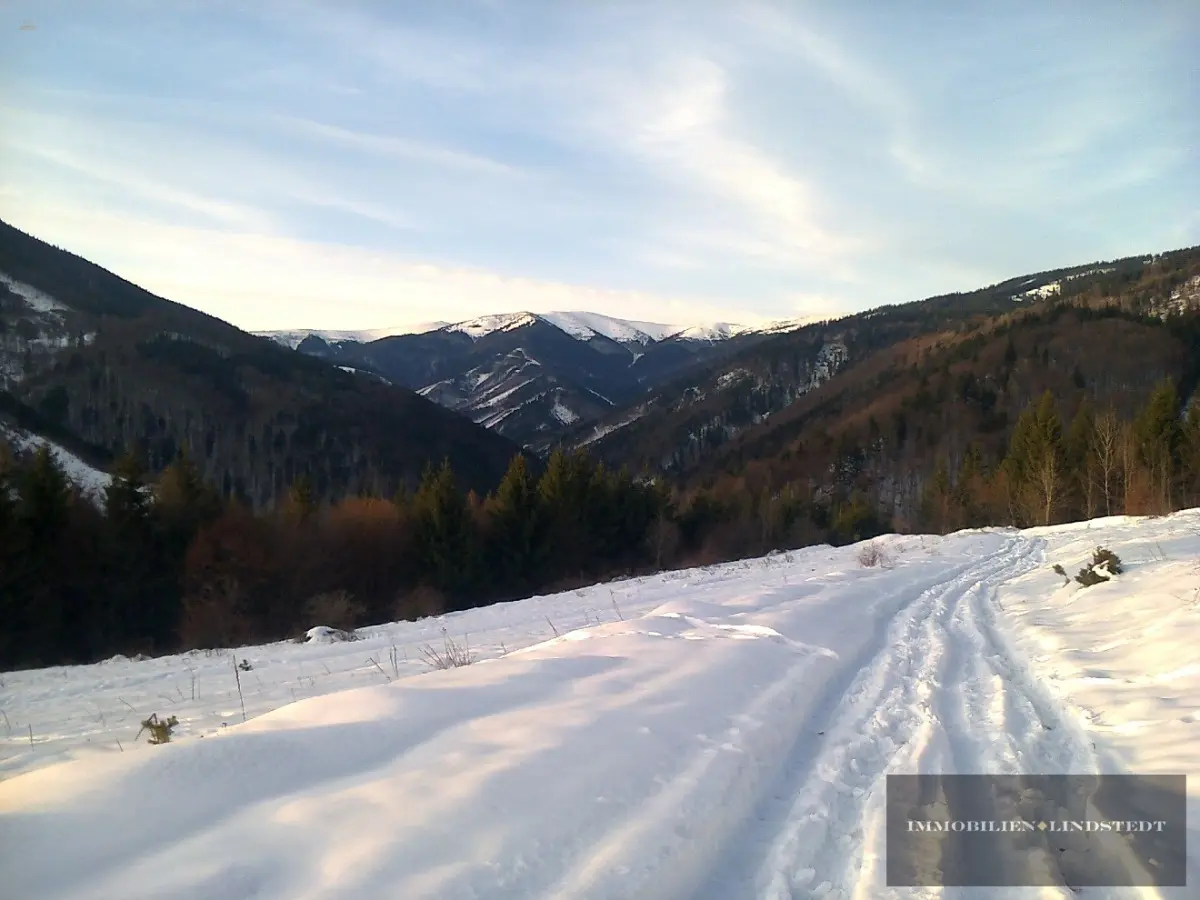 Sagenhafter Blick auf die Berge!