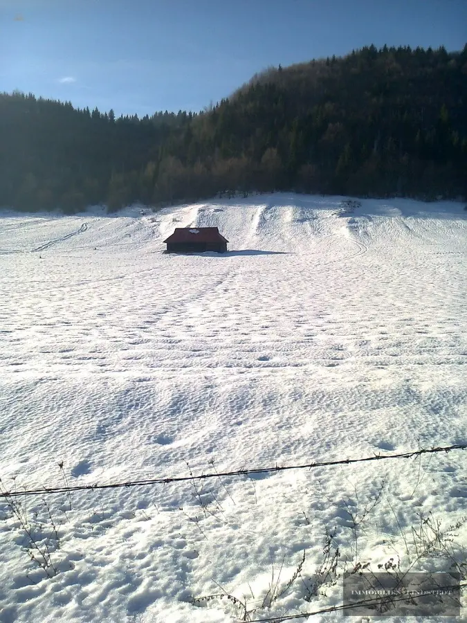 Große Wiesenflächen