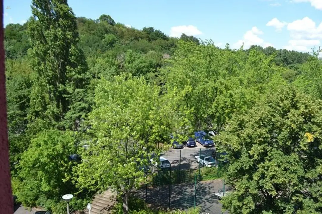 Blick auf den Volkspark Prenz