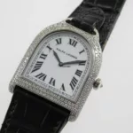 watches-324880-27973239-tk5gw846jn71l7swprwm1vq9-ExtraLarge.webp