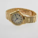 watches-326104-28131732-o9j48fe008vlw6xuvqxk1dk6-ExtraLarge.webp