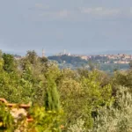 RIF 3070 Blick auf Siena