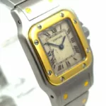 watches-336369-29338570-rgx34j1j3xzh55vwrhhgl3zj-ExtraLarge.webp