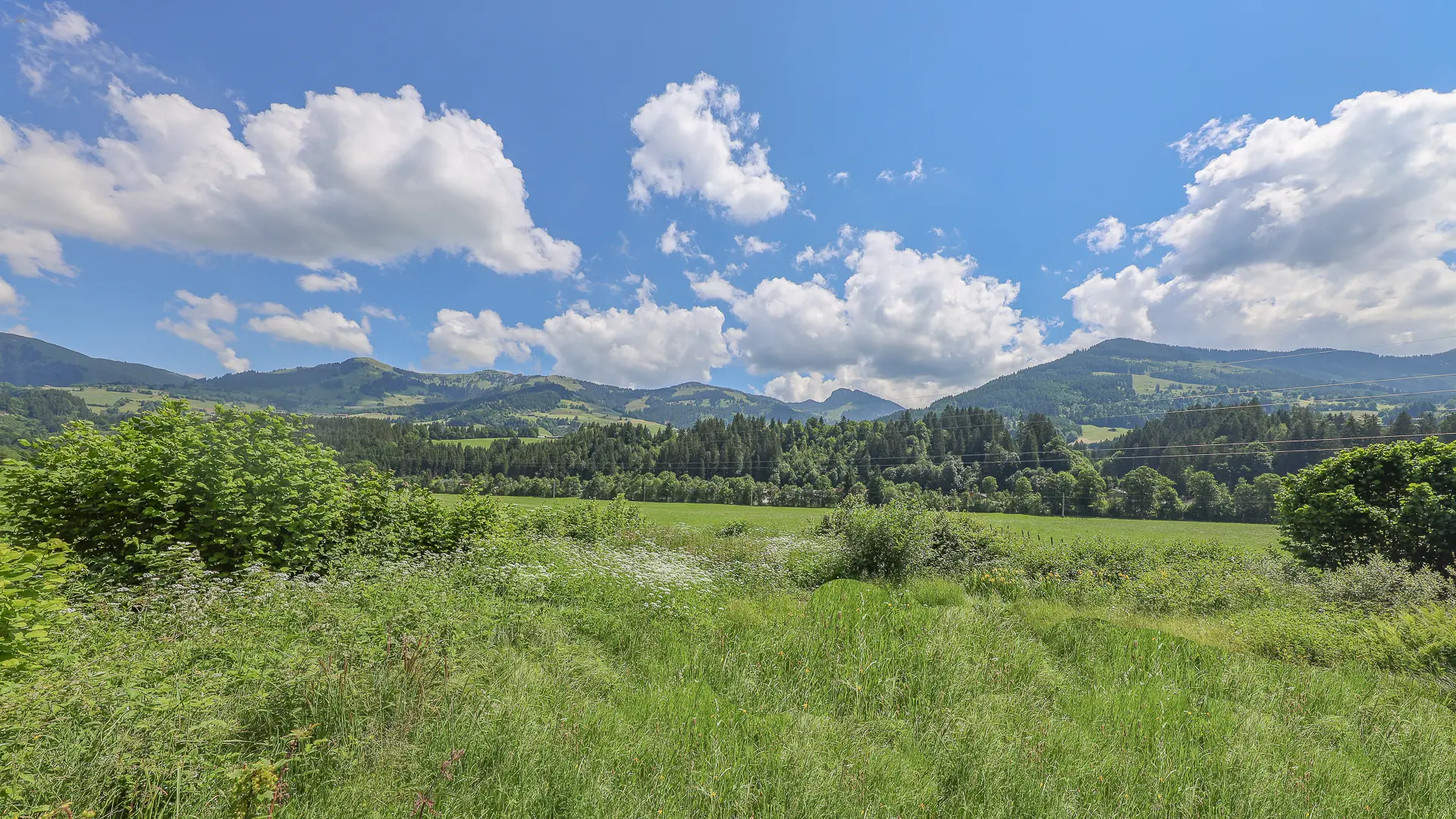 KITZIMMO-Baugrundstück in Toplage in Aurach bei Kitzbühel.