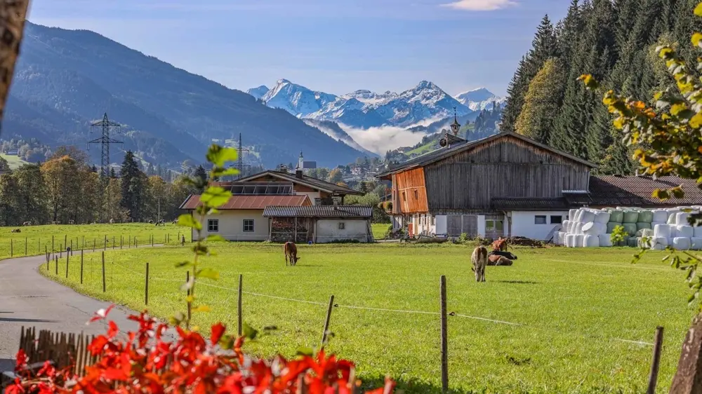 KITZIMMO-Baugrundstück in Toplage in Aurach bei Kitzbühel.