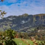 KITZIMMO-Baugrundstück in Toplage in Aurach bei Kitzbühel.