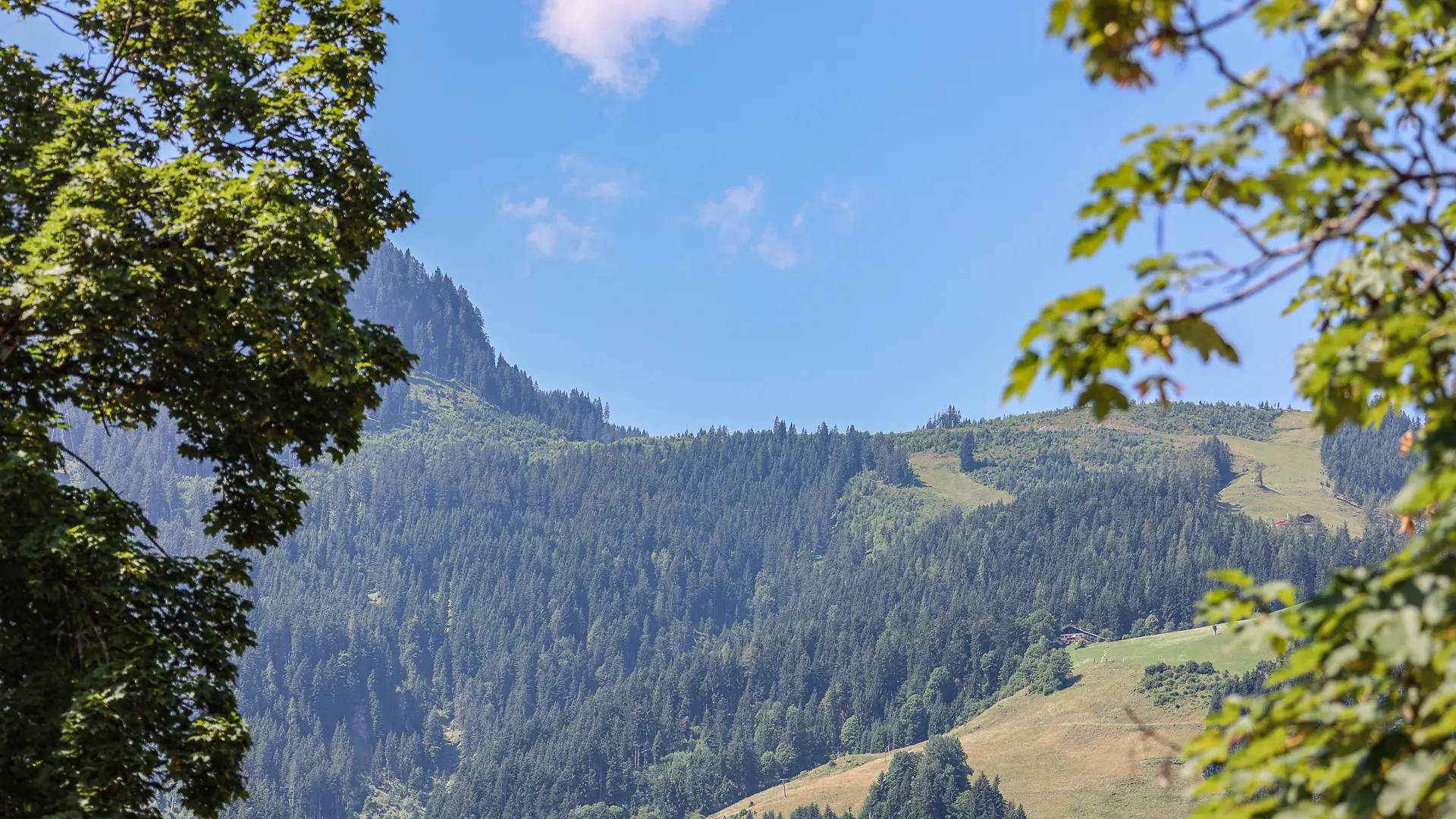 KITZIMMO-exklusives Neubauchalet am Sonnberg in Kitzbühel.