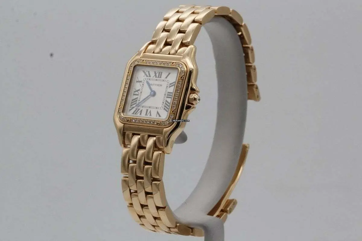 watches-338144-29458899-7mcr545eiqumk3wuldcjkk5q-ExtraLarge.webp