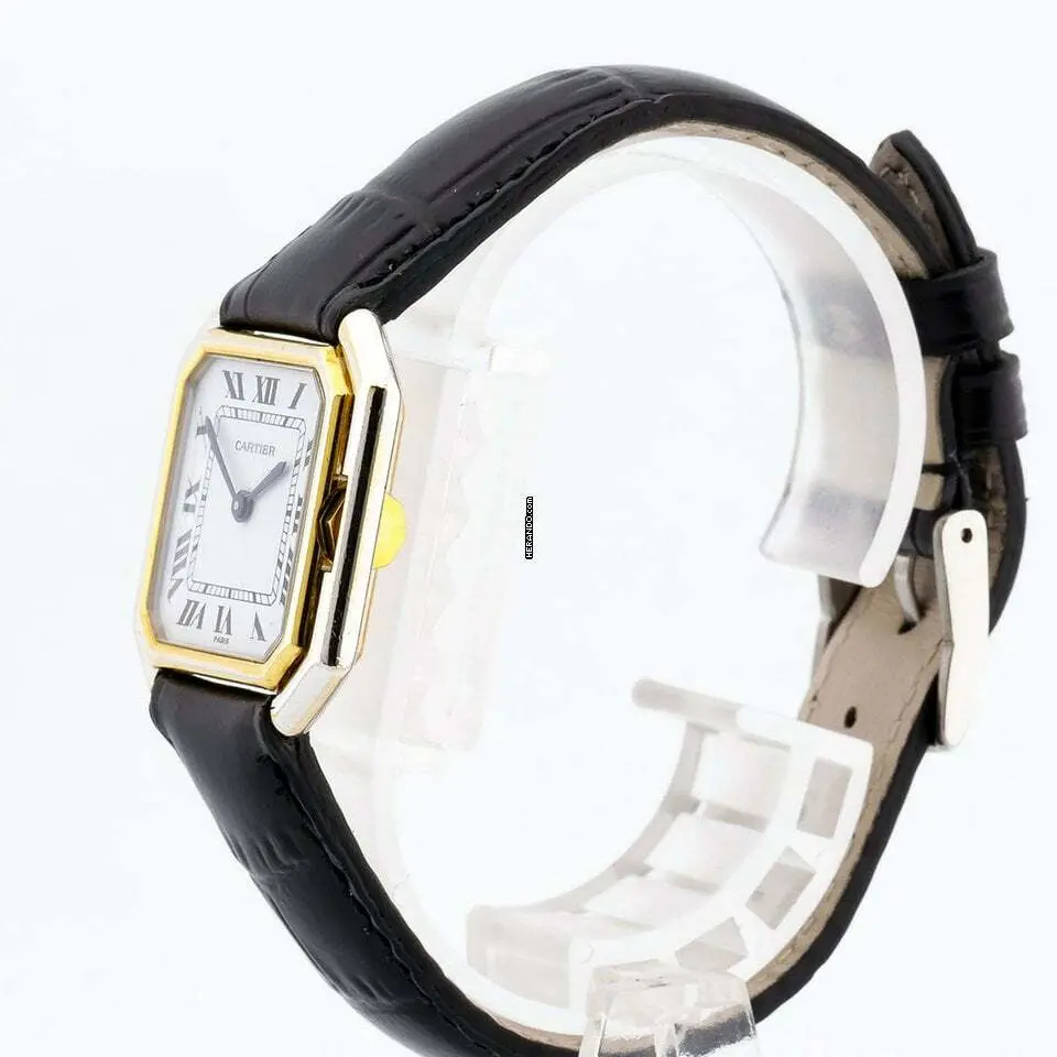 watches-339405-29567581-rmki8mcry8gcjapylj05zdd7-ExtraLarge.webp