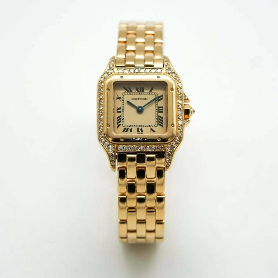 watches-339766-29628269-go3qkvwd9znri9d1o8qjv19n-ExtraLarge.webp