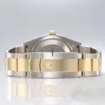 watches-340999-29741067-vi362vpsryo1k1ib15mha4zo-ExtraLarge.webp