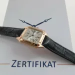 watches-341944-29789043-a04pqu3ifss69ung6iynnunj-ExtraLarge.webp