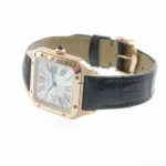 watches-341944-29789043-yo59yv755zmpcumyvu58t3lp-ExtraLarge.webp