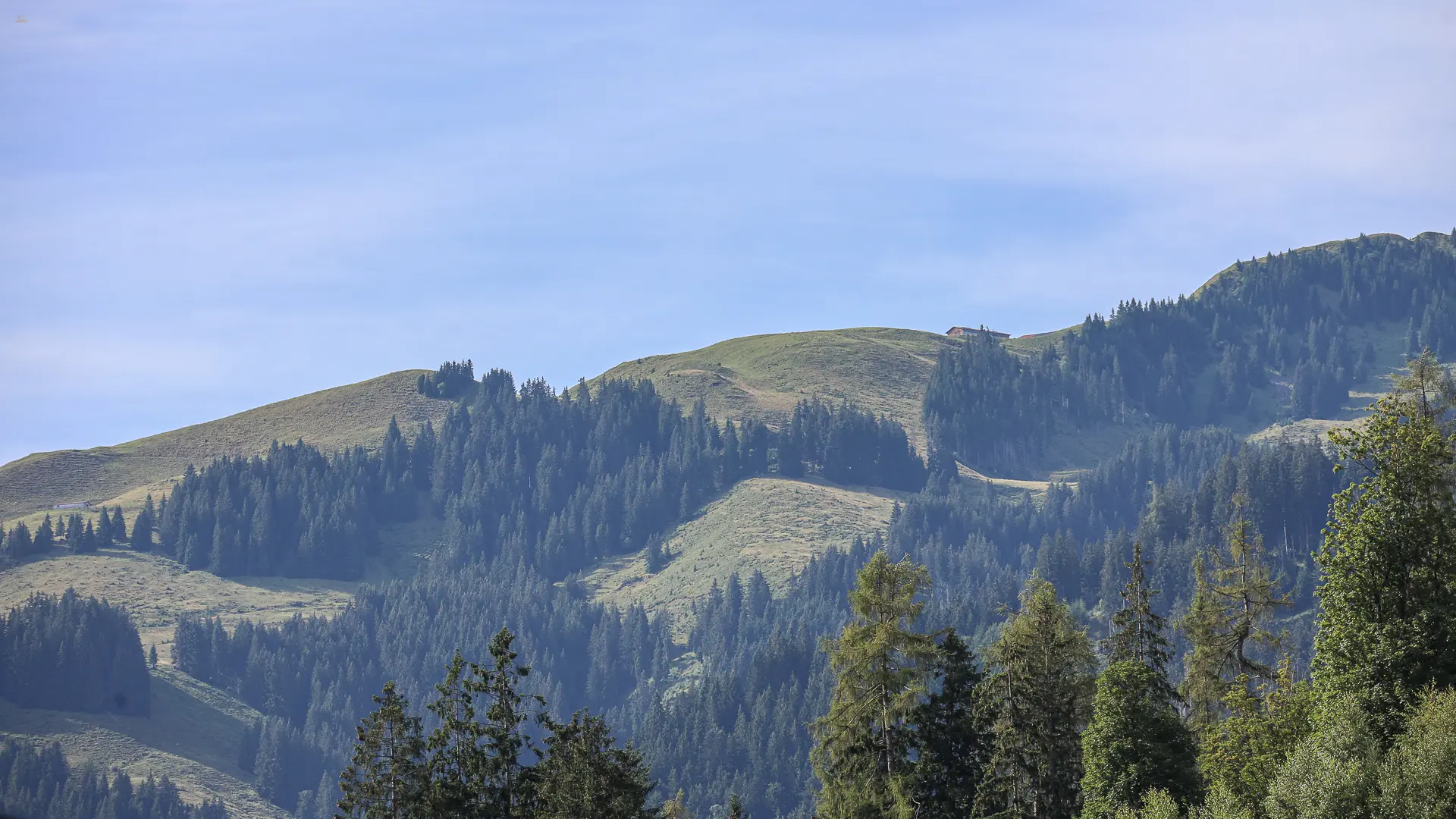 KITZIMMO-hochwertige Wohnung in KitzbÃ¼hel kaufen.