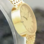 watches-343407-29939655-c4r6juy8dg6waz92ckg265iu-ExtraLarge.webp