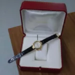 watches-347354-30430831-ahcq56qmrwpjs05ob2mic76h-ExtraLarge.webp